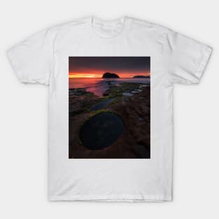 Rockpools T-Shirt